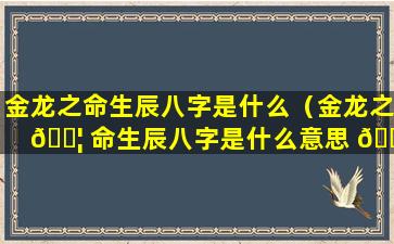 金龙之命生辰八字是什么（金龙之 🐦 命生辰八字是什么意思 🐯 ）